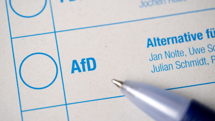 AfD hukuka müdahale eder