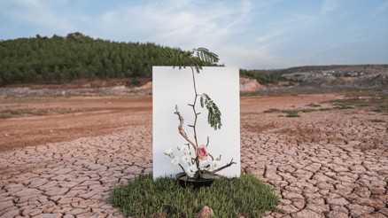 COP31’de üniversite öğrencilerine akademik görev