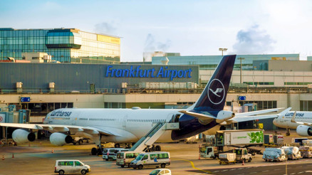 Frankfurt Havalimanında sıtma paniği: 1 kişi hayatını kaybetti