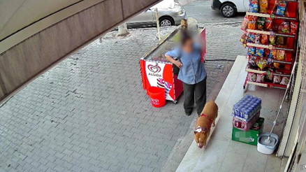 İzmirde pitbull saldırısı: 5 çocuk annesi kadının parmağı koptu