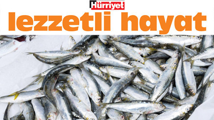 Haydi rastgele İyi balığın sırrı tazelikte