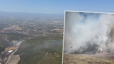 Manisa ve Bursadaki orman yangınları kontrol altında