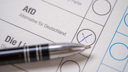 AfD iktidar yolunda