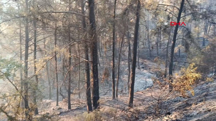 Antalya Kumlucadaki orman yangınının enerjisi düşürüldü