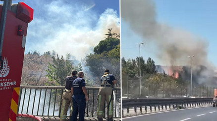 İstanbulda otluk alanda çıkan yangın söndürüldü