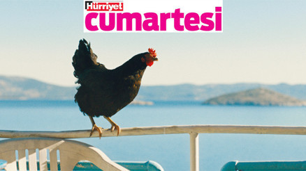 Kendi kaderini kendi tayin eden bir ‘Tavuk’