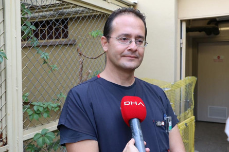 Yaban hayata şifa kliniği
