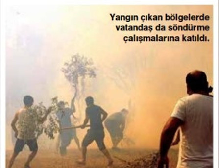 Doğanın gerçekleriyle ezberimizdekiler farklı