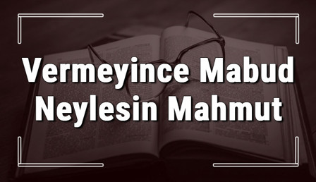 Vermeyince Mabud Neylesin Mahmut atasözünün anlamı ve örnek cümle içinde kullanımı (TDK)