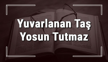 Yuvarlanan Taş Yosun Tutmaz atasözünün anlamı ve örnek cümle içinde kullanımı (TDK)