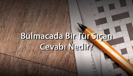 Bulmacada Bir Tür Sıçan Cevabı Nedir? Harf Sayısına Göre Bir Tür Sıçan Cevapları
