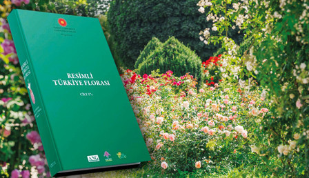 Anadolu bitki cenneti çıktı