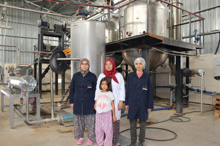 Ayaş’ta üretim arttı, 250 tona göz kırptı