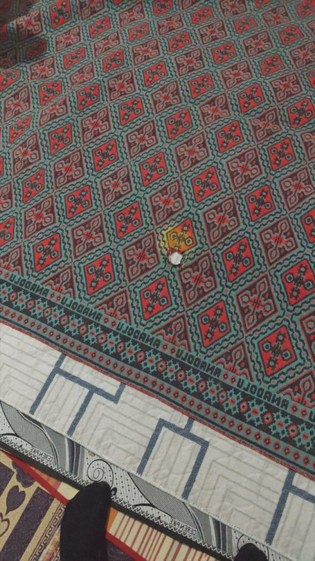 Narin Güran cinayeti davası... Halıların kriminal raporu ortaya çıktı Dikkat çeken detaylar