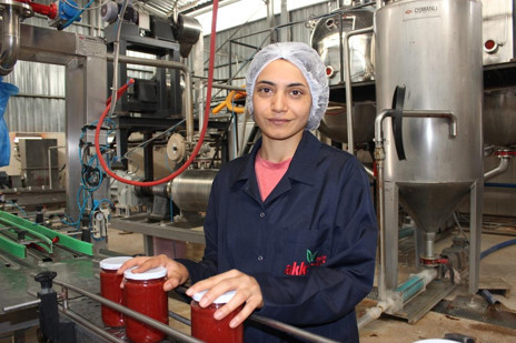 Ayaş’ta üretim arttı, 250 tona göz kırptı