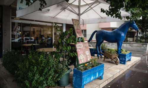 Şizofreni hakkında derin bir röportaj