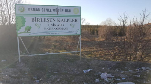Kente ve doğaya hançer vuruyorlar