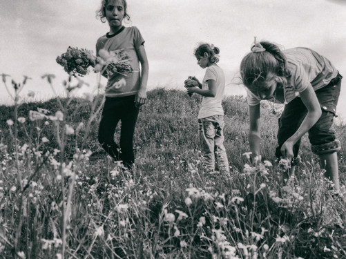 Usta gözüyle ‘Mülteciler’