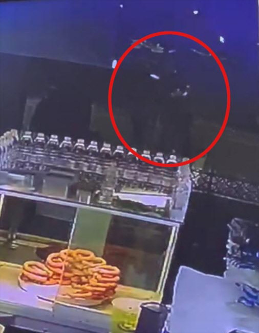 Bıçaklı saldırıda İlayda Alkan hayatını kaybetmişti, annesi yaralanmıştı Kan donduran olay kamerada