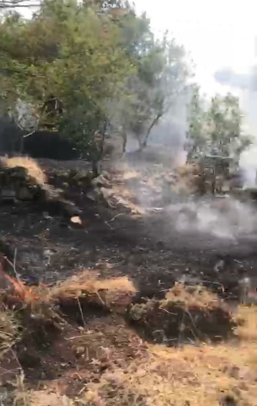 Elazığ’da anız yangınında 100 dönüm arazi kül oldu