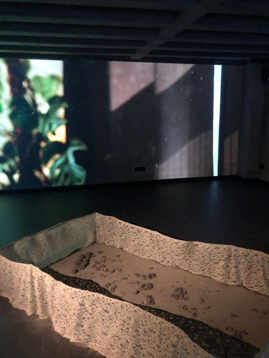 ‘Büyük Çayır’a bir bakış