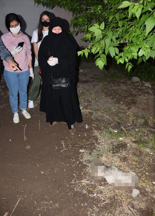 Sivasta vahşet Kayıp kedisini patileri ve kuyruğu kesik halde ölü buldu