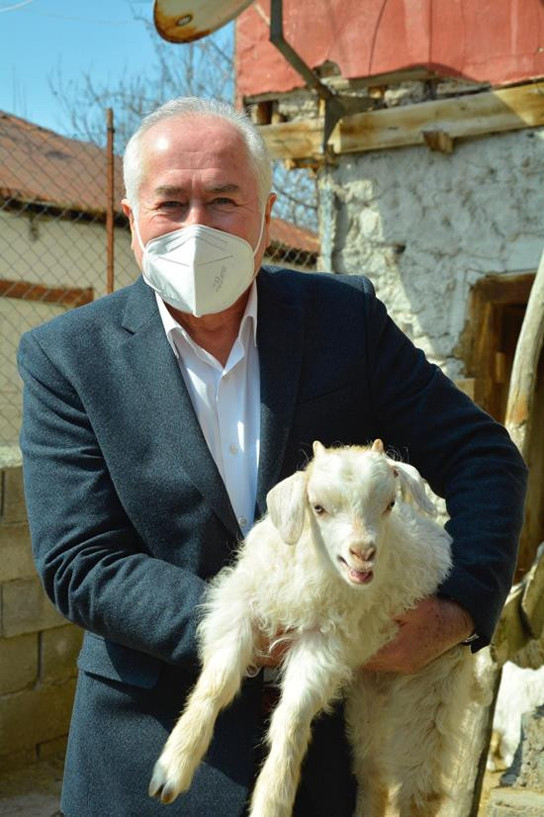 Başkan Köse’nin ‘Şehirde sahipsiz köpek olmaz’ çıkışı