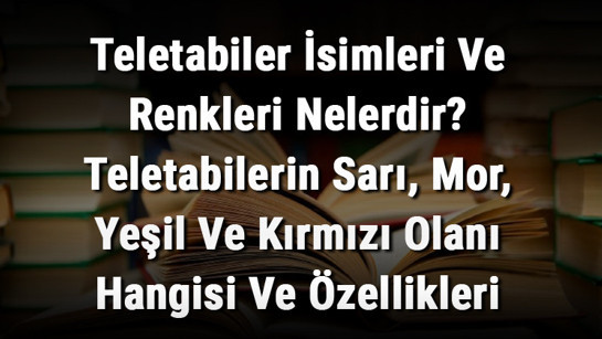 Teletabiler İsimleri Ve Renkleri Nelerdir? Teletabilerin Sarı, Mor, Yeşil Ve Kırmızı Olanı Hangisi Ve Özellikleri Nedir