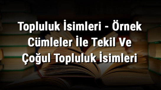 Topluluk İsimleri - Örnek Cümleler İle Tekil Ve Çoğul Topluluk İsimleri