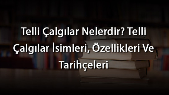 Telli Çalgılar Nelerdir? Telli Çalgılar İsimleri, Özellikleri Ve Tarihçeleri