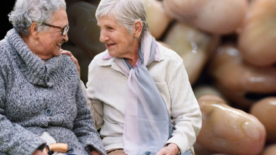 Dünyaca ünlü uzmanlar tek tek anlattı: Uzun yaşamak için ne yemeliyiz?