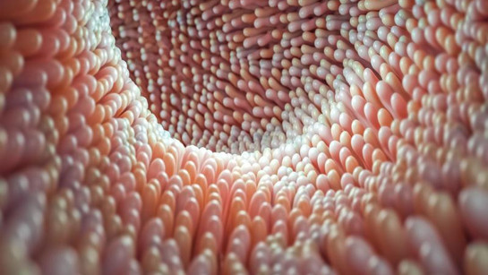 Bir organ kadar önemli! Dengesi bozulursa hasta ediyor