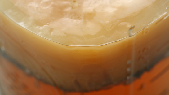 Bağışıklığı güçlendiriyor, tansiyonu dahi düzenliyor! Sağlıklı yaşamın yeni trendi, fermente besinler