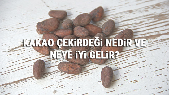 Kakao Çekirdeği Nedir Ve Neye İyi Gelir? Kakao Çekirdeği Faydaları