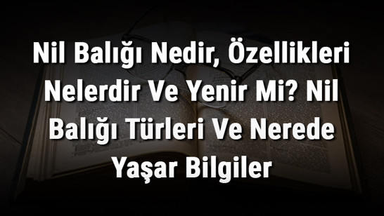 Nil Balığı Nedir, Özellikleri Nelerdir Ve Yenir Mi? Nil Balığı Türleri Ve Nerede Yaşar Bilgiler