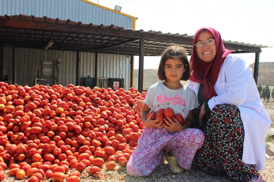 Ayaş’ta üretim arttı, 250 tona göz kırptı