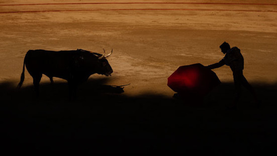 Boğa güreşleri bitiyor mu