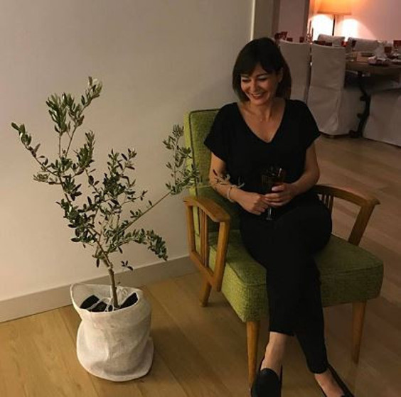 Zeytinin amazonları