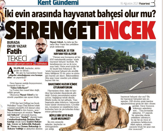 ‘Aslan Park’lara artık dur deyin’