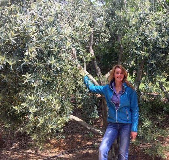 Zeytinin amazonları