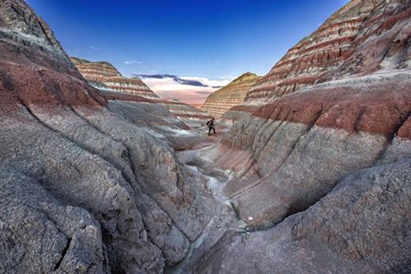 Foto Safari’nin kazananları
