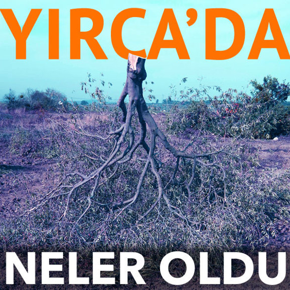 6 bin zeytin ağacı kesildi, Danıştay yürütmeyi durdurdu