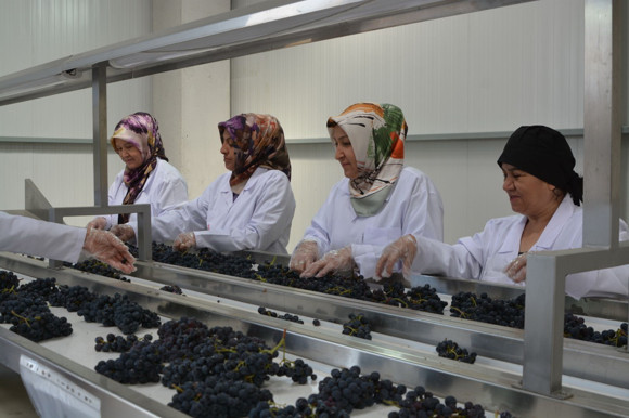 Kalecik karası kıtalar arası