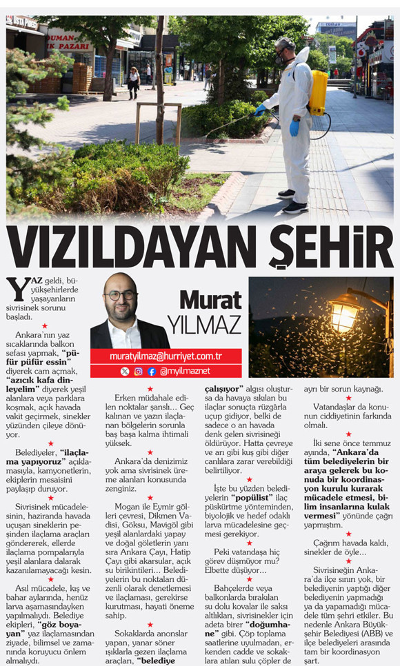 Amerikan asfaltı