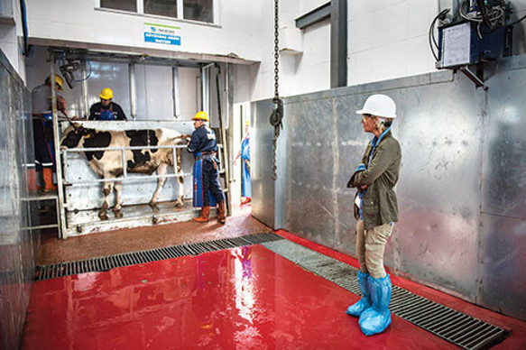 Çözüm: Acısız kesim