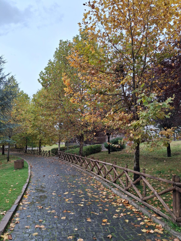 Seul’de yapılanı biz yapamaz mıyız