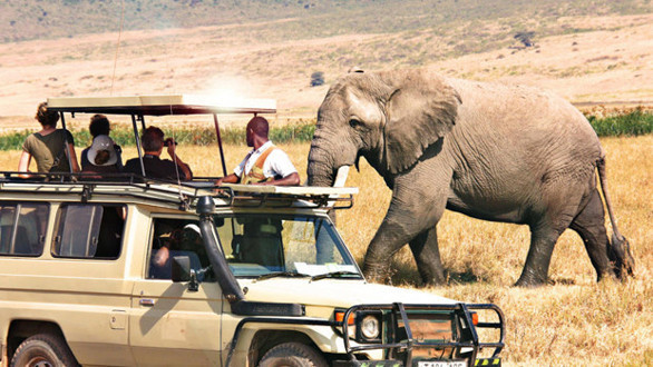 Bir gün mutlaka yapmak istediklerim