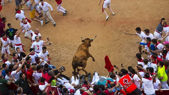 Festivali izlerken canından oldu
