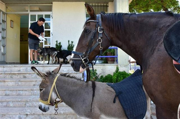 Yunanistanda halk sandık başında... Çipras oyunu attı ve ilk mesajını verdi