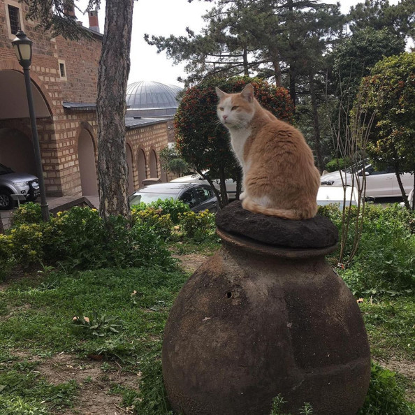 ODTÜ’de ilk şok